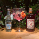 Monkey 47 - German Sloe Gin 德國猴子47黑刺李琴酒  - 500ml -  Mango Store