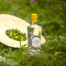 Two Moons Hong Kong Calamansi Gin 限量版香港四季柑乾琴酒 - 700ml -  Mango Store