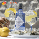 Citadelle Gin - Citadelle Jardin d’Été Gin 法國柑橘果香琴酒 700ml