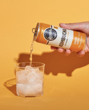 Remedy - Organic Kombucha Ginger Lemon 有機紅茶菌檸檬薑味(康普茶) (罐裝)  250ml(有機純天然飲品,純素無糖)
