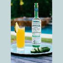 Hanson - Organic Vodka Cucumber 美國青瓜伏特加 - 750ml -  Mango Store