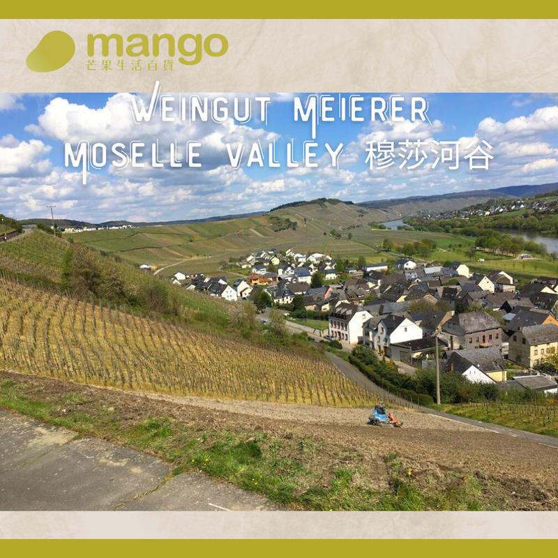 Meierer - 自然酒] 德國摩澤爾河白葡萄酒 Meierer Hops 2021 Riesling - 750ml (麗絲玲, 萊姆, 青蘋果, 蜂蠟)