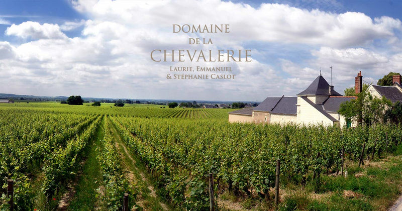 Domaine de la Chevalerie -  法國盧瓦爾河谷紅葡萄酒Galichets - 750ml (卡本內弗朗, 草莓, 覆盆莓)