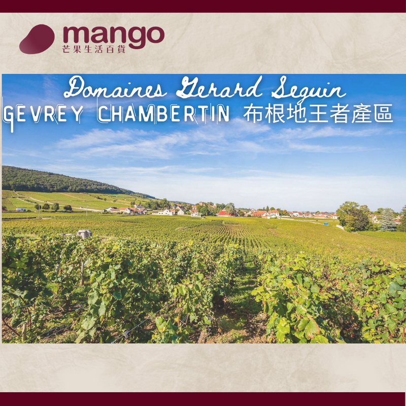 Domaine Seguin - 法國布根地1級莊園紅葡萄酒 Gevrey Chambertin 1er Cru "Les Craipillots" 2019 - 750ml (黑皮諾, 黑加侖子, 車厘子)