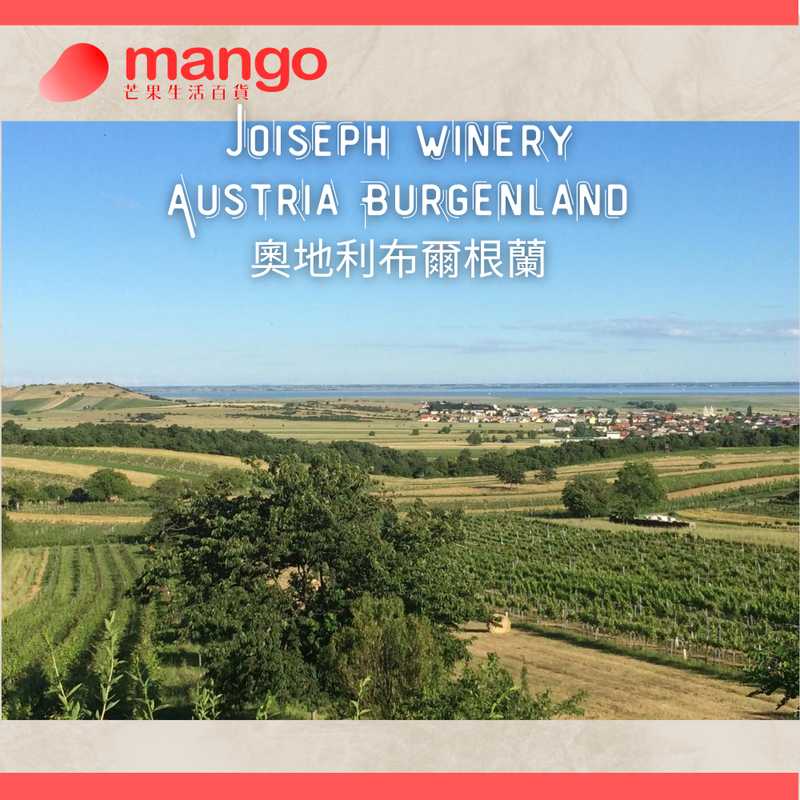 Michel Redde & Fils - French Loire Valley White Wine La Moynerie 2018 - 750ml (Sauvignon Blanc, Cantaloupe, Grapefruit)
