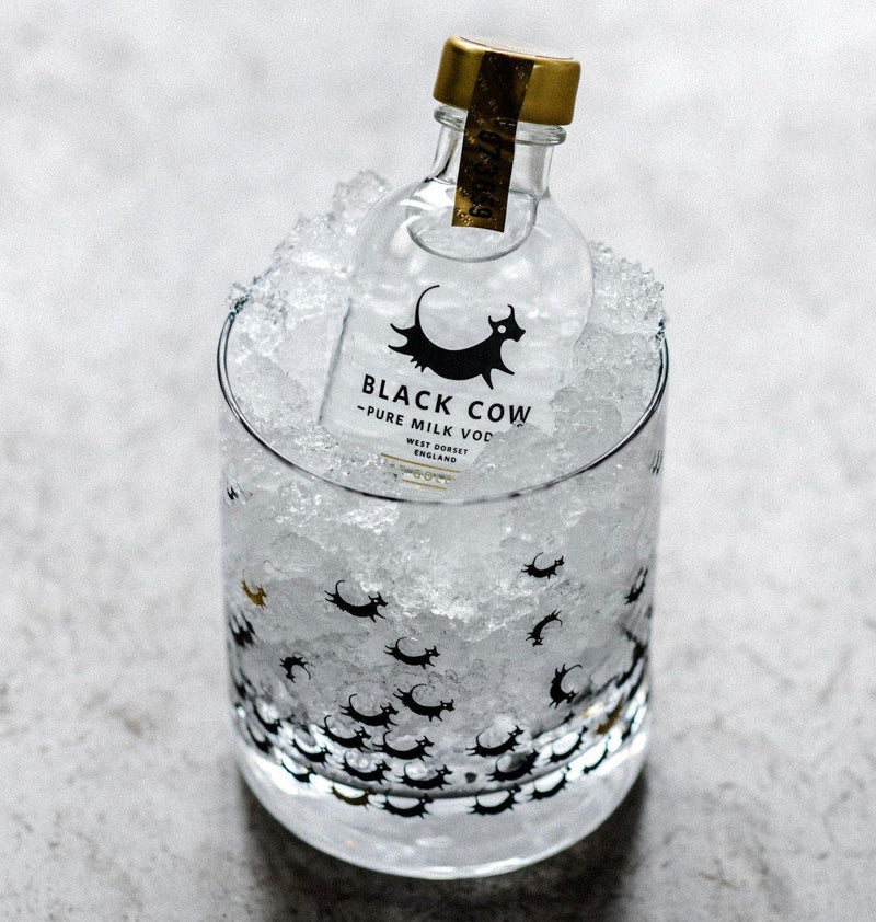 Black Cow - Pure Milk Vodka Miniature 英國牛奶釀製伏特加迷你裝 50ml -  Mango Store