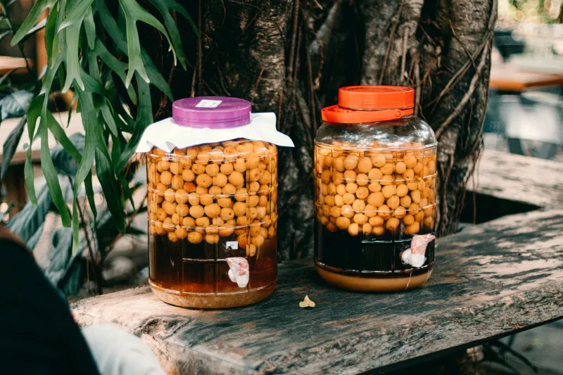 Manga Fermentada: O Segredo Probiótico que Está Conquistando as Cozinhas do Brasil